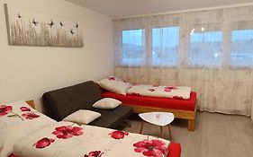 Apartment Lahr